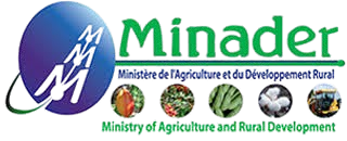 MINADER